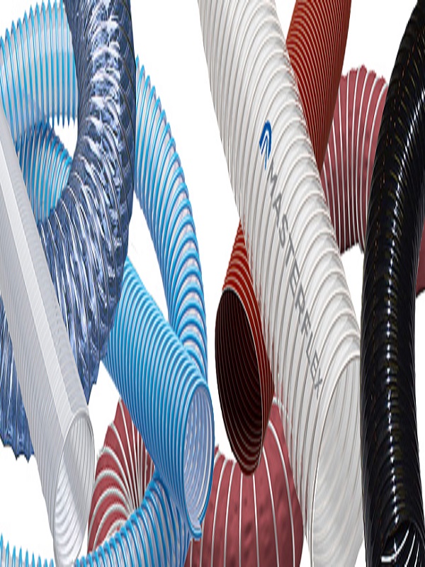 lorem ippsum dolor dummy