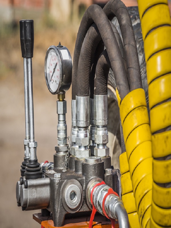 lorem ippsum dolor dummy