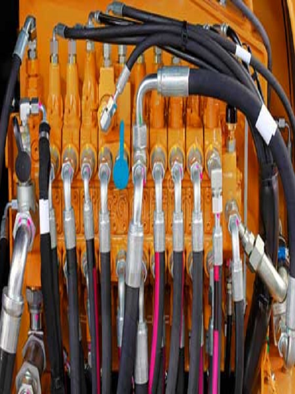 lorem ippsum dolor dummy